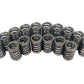 Comp Cams CC983-16 Comp Valve Springs 1250 Ovate