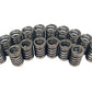 Comp Cams CC983-16 Comp Valve Springs 1250 Ovate