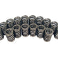 COMP Cams CO983-16 CC983-16 Comp Valve Springs 1250 Ovate