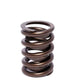 Comp Cams CC984-1 Comp Valve Spring 1430 Outer W