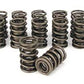 COMP CAMS DUAL VALVE SPRINGS 1.430" O.D. X .697" I.D. 344 LBS/IN RATE CO 987-16