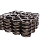 Comp Cams CC990-16 Comp Valve Springs 1437 Outer