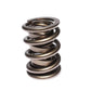 Comp Cams CC991-1 Comp Valve Spring 1625 Chr/Sil