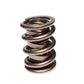 Comp Cams CC991-1 Comp Valve Spring 1625 Chr/Sil