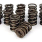 Dual Valve Spring Set, 640 Spring Rate (1.639" Outer OD, 214@1.950 Seat Pressure, 1.125" Coil Bind) (CO991-16)