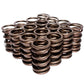 Comp Cams CC994-16 Comp Valve Springs for 990-974