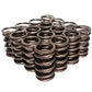 Comp Cams CC994-16 Comp Valve Springs for 990-974