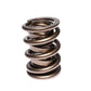 Comp Cams CC996-1 Comp Valve Spring 1625 H-11 As