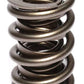 Dual Valve Spring, 733 Spring Rate (H-11Material) (1.625" Outer OD, 250@1.900 Seat Pressure, 1.090" Coil Bind (Each)) (CO998-1)