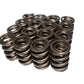 Comp Cams CC999-16 Comp Valve Spring 1550 H-11 As