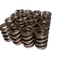 Comp Cams CC999-16 Comp Valve Spring 1550 H-11 As