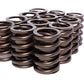 Comp Cams CC940-12 Comp Valve Spring 1450 Outer W