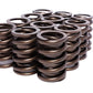 Comp Cams CC942-12 Comp Valve Springs 1437 Outer