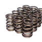 Comp Cams CC982-12 Comp Valve Springs 1250 /1460
