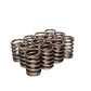 Comp Cams CC902-12 Comp Valve Springs Ford 144-25