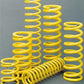 AFC22225B | Coil Over Spring 2-5/8" X 12"