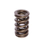 Comp Cams CC988-1 Comp Valve Spring 1400 2 Sprin