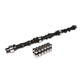 Comp Cams CCCL66-236-4 Comp Cam & Lifter Kit F66 252H