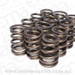 Comp Cams CC982-12 Comp Valve Springs 1250 /1460