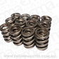 Comp Cams CC991-12 Comp Valve Springs 1625 Chr/Si