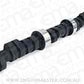 Comp Cams CC12-305-2 Comp Cam Cs 246Peh-10