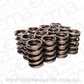 Comp Cams CC927-12 Comp Valve Springs Nascar