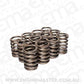 Comp Cams CC902-12 Comp Valve Springs Ford 144-25