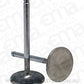 Comp Cams CC6024-1 Comp Ss Valve Crs 1920 Int 5/1