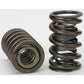 Crane Cams CR144838-16 Dual Valve Spring Set 1.297" O.D 148Lbs @ 1.800" Chev LS1-LS6