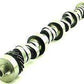 Crow Cams CROW-21669 21669 Hyd Roller Camshaft 238/244@.50 562/568" Lift Ford Cleveland