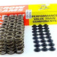 Suit Holden / Chev LS1 LS2 L98 V8 Vtkls8 Dual Valve Spring Kit Commodore Vt-Ve 5.7L Crow Cams CROW-VTKLS8