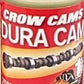 Crow Cams CROW-ZDDP-100 Zddp-100 Dura Cam Ultra Concentrate Engine Oil Additive 100Ml Bottle