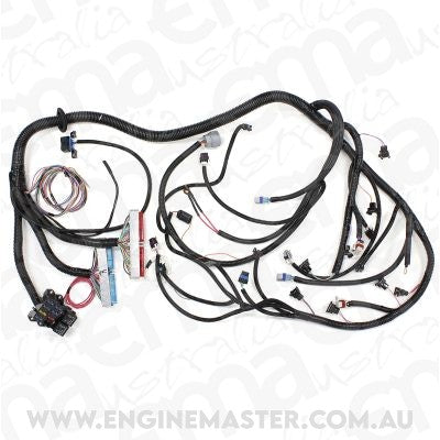 Aeroflow AF49-1505 LS3 6.2L Standalone Wiring Harness suits 4L60E Trans