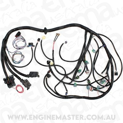 Aeroflow AF49-1506 LS3 6.2L Standalone Wiring Harness suits Manual Trans