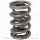Aeroflow AF59-4273 Aeroflow BBC Heads 1 x Valve Dual Spring
