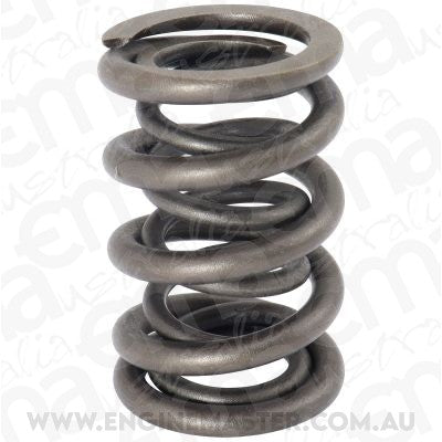 Aeroflow AF59-4273 Aeroflow BBC Heads 1 x Valve Dual Spring
