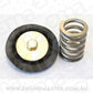 Aeroflow AF59-2055 AF66-2055 Replacement Diaphragand Spring Assembly