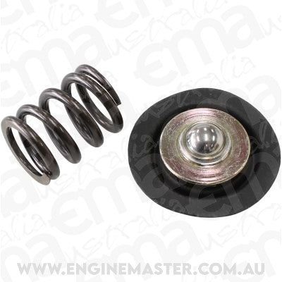 Aeroflow AF59-2065 AF66-2058 REPLACEMENT DIAPHRAGAND SPRING ASSEMBLY