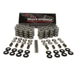 Brian Tooley Racing BTR-SK702 .685? Ultimate RPM Spring Kit With Titanium Retainers