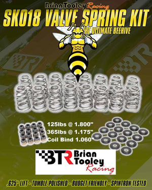 Brian Tooley Racing BTR-SK018 .625? Lift Beehive Spring Kit