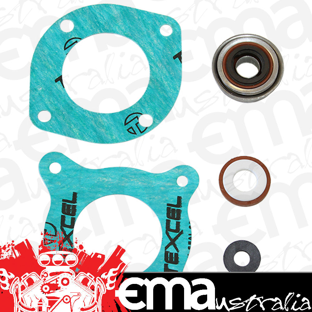 Dedenbear DE-SKWP Electric Motor Seal Repair