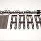 Edelbrock ED22015 Chev SB 262-350 Hydraulic Roller Cam Lifter & Pushrod Kit