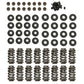 Engine Master Australia EMA-174003 Master GM LS Dual Valve Spring Upgrade Kit
