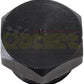 Enderle EN814-8 Hex Brass Plug Fitting -8an
