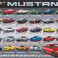 Engine Master Australia EUR-6000-0684 Ford Mustang Evolution 1000 Piece Jigsaw Puzzle 26.5" X 19.25"