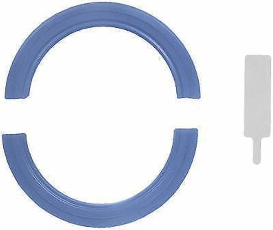 Fel-Pro Gaskets FE2900 Chev 229-262 V6 Rear Main Seal Silicone