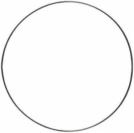Fel-Pro Gaskets FE35633 Replacement Water Pump O-Ring Suit Chevy & Holden Ls V8