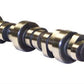 Howards Cams HC220355-10 Retrofit Hyd Roller Camshaft 251/257@.50 Ford SB 302 V8