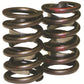 Howards Cams HC98212 Performance Street/Strip Valve Springs