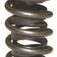 Howards Cams HC98431 Max Effort Mechanical Roller Valve Springs